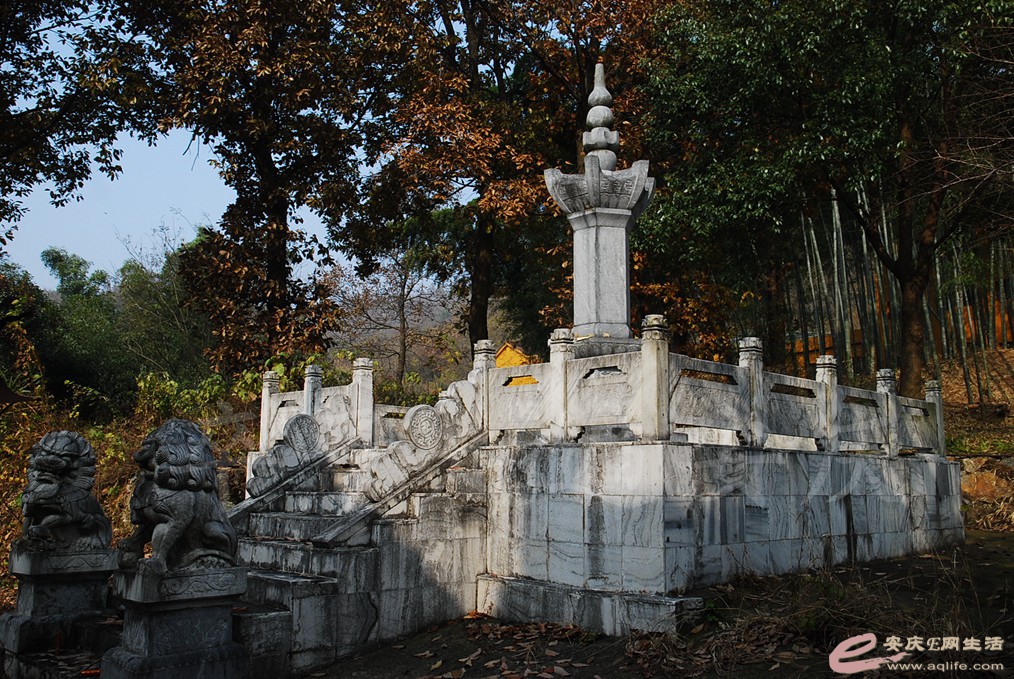 DSC_6723.jpg