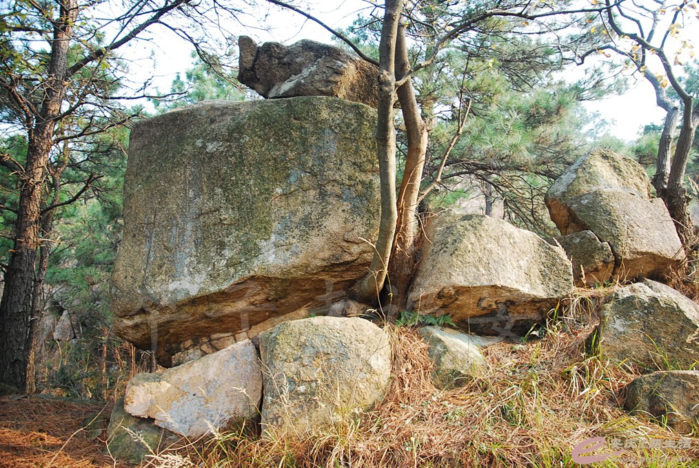 DSC_6880.jpg