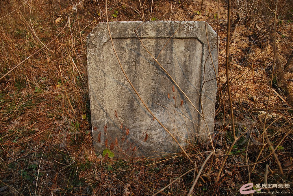 DSC_6893.jpg
