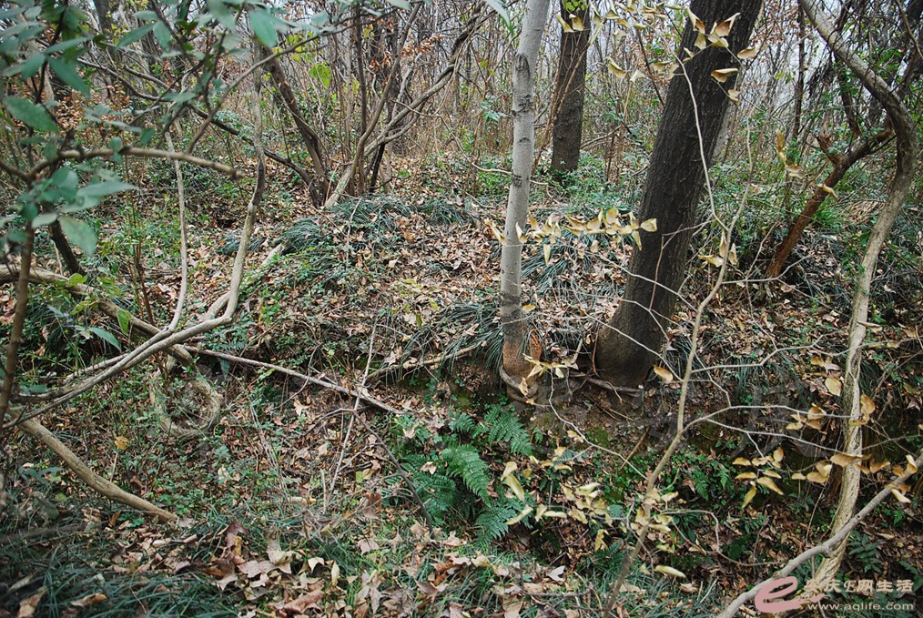 DSC_7069.jpg
