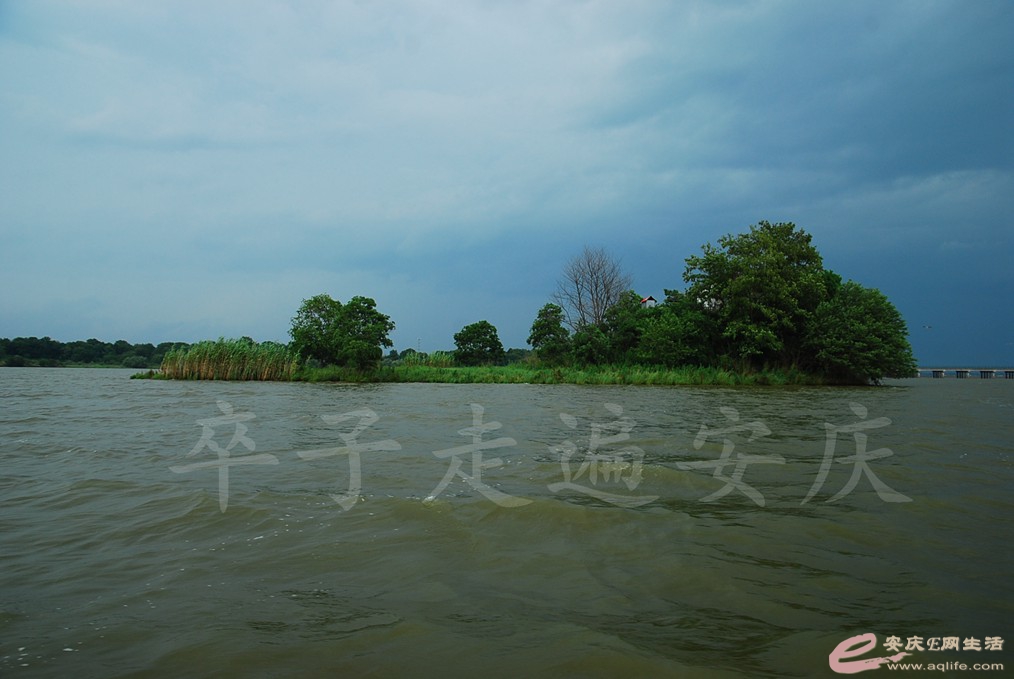 DSC_7438.jpg