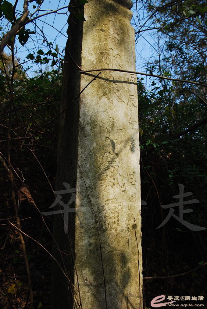 DSC_6743.jpg