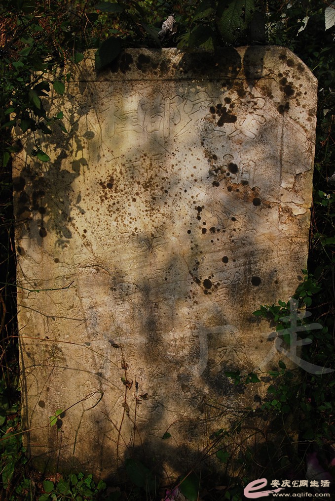DSC_6753.jpg