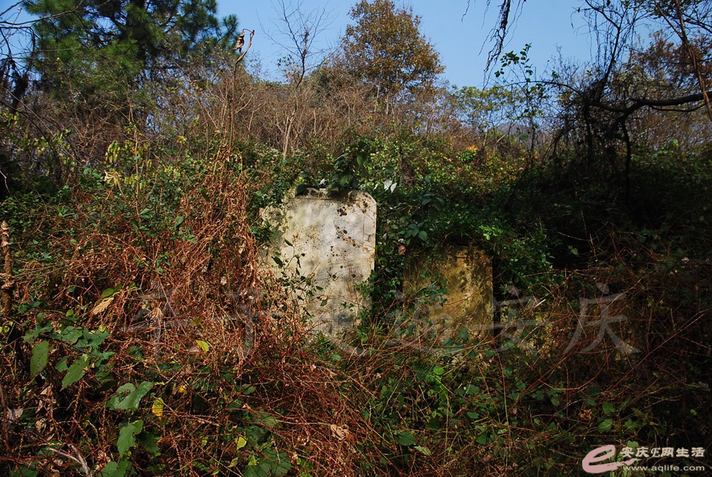 DSC_6757.jpg