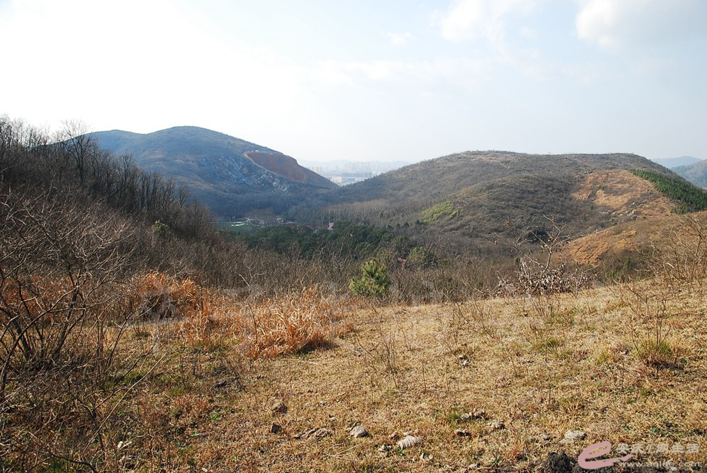 DSC_7227.jpg