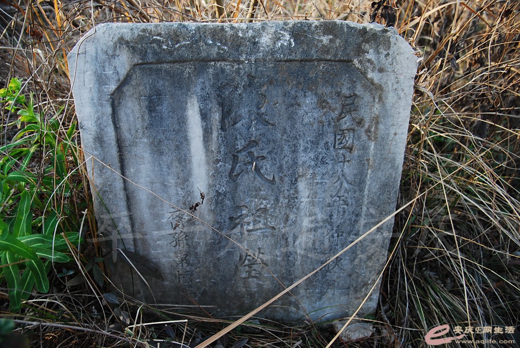 DSC_7272.jpg