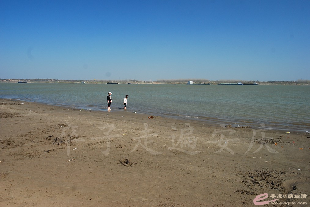 DSC_7432.jpg