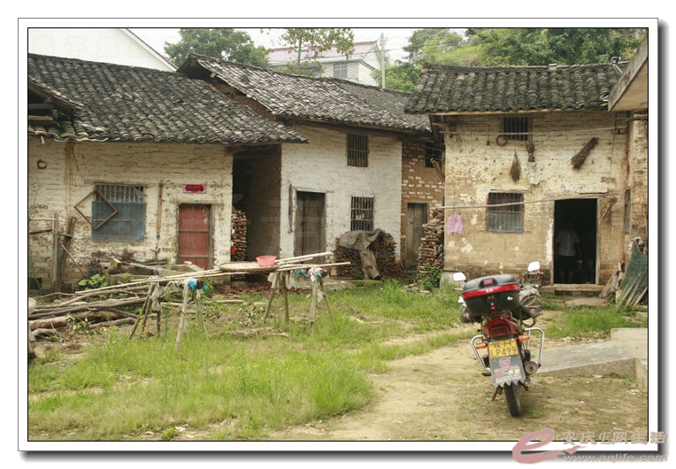 20140719 142.jpg