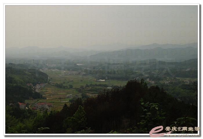 20140501 350.jpg