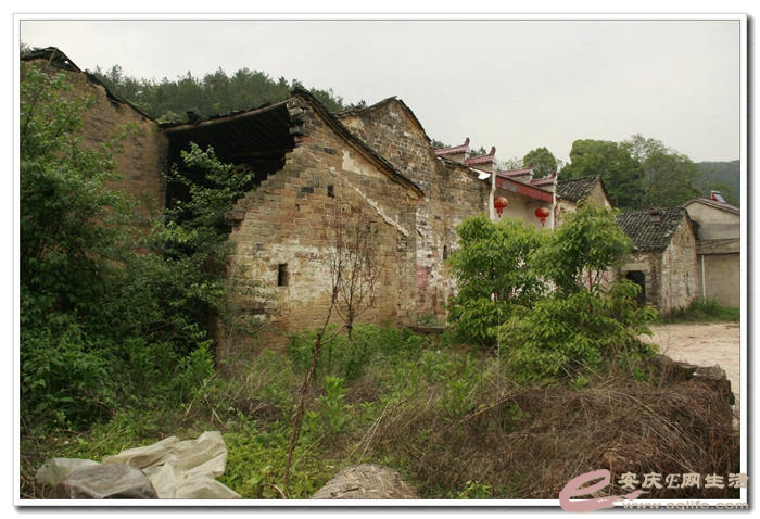 20140501 365.jpg