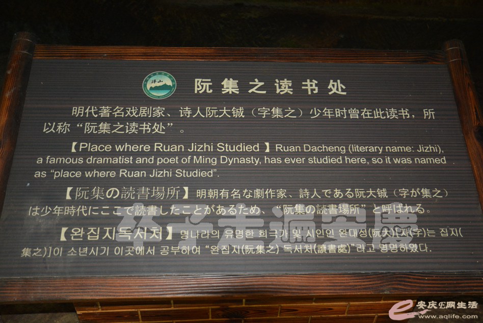 20160529 808.jpg