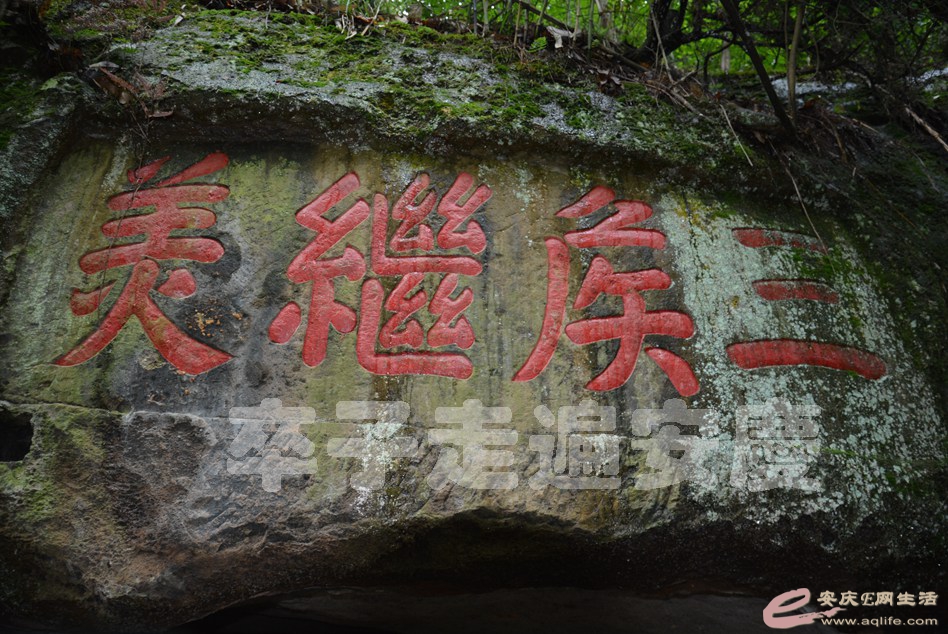 20160529 796.jpg