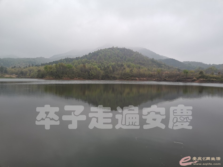 IMG_20210328_080344.jpg