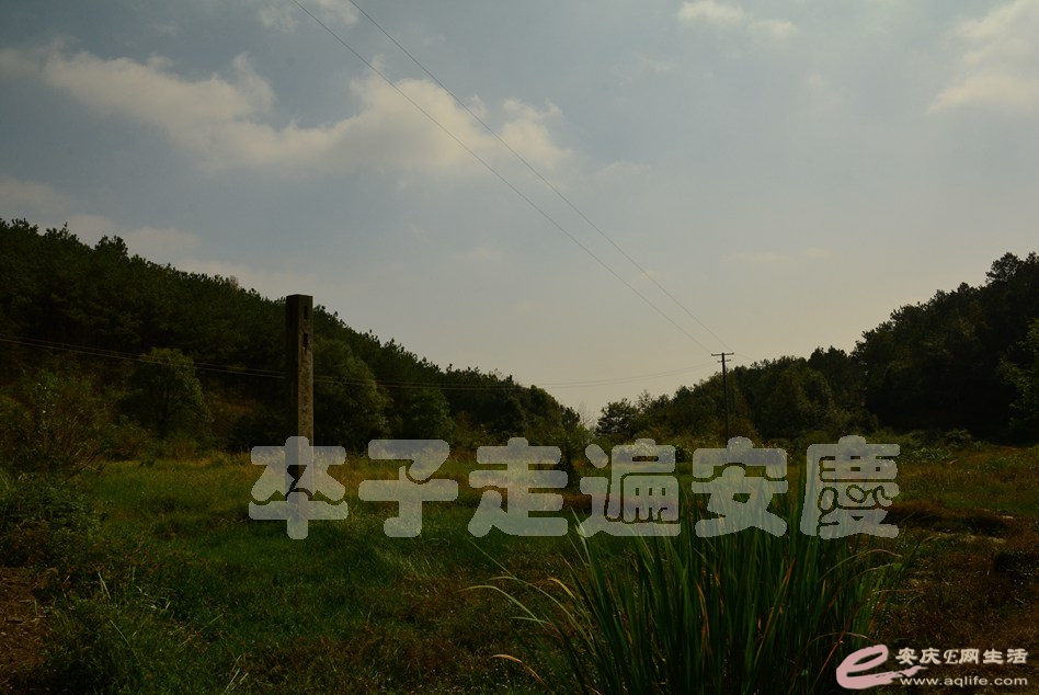 20161002 201.jpg