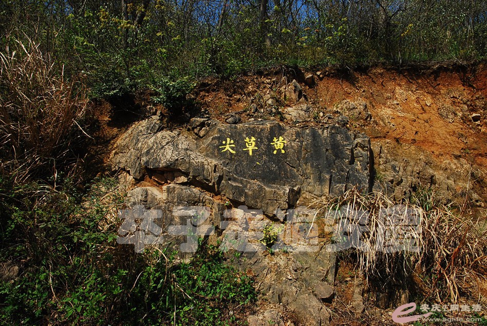 DSC_9156.jpg
