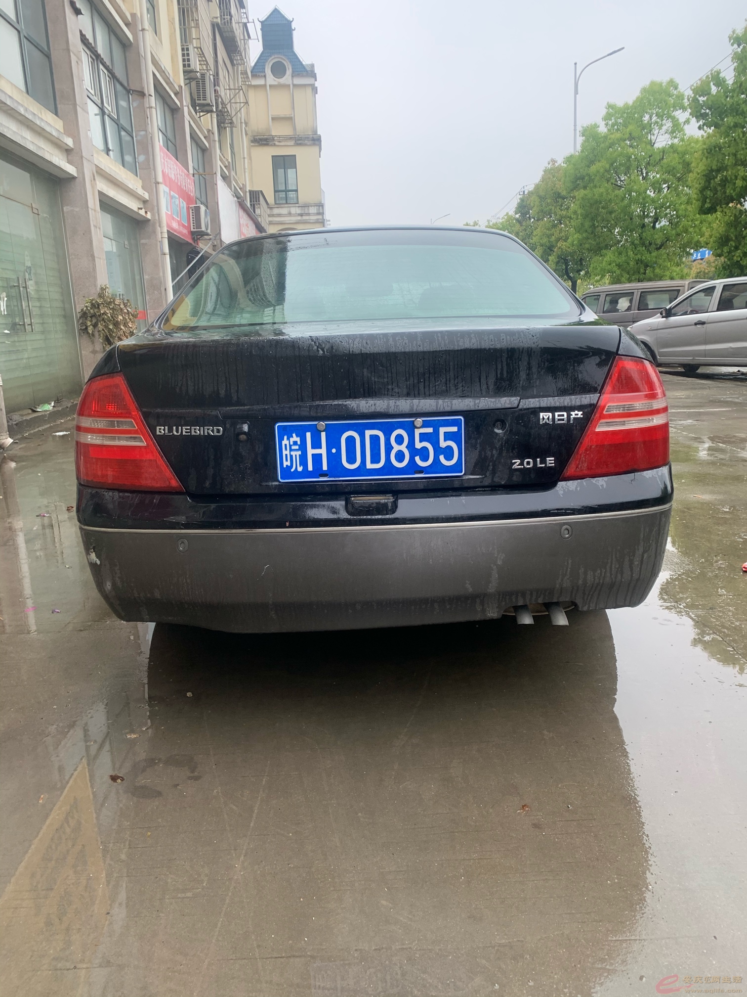 1617779312889858923.jpg
