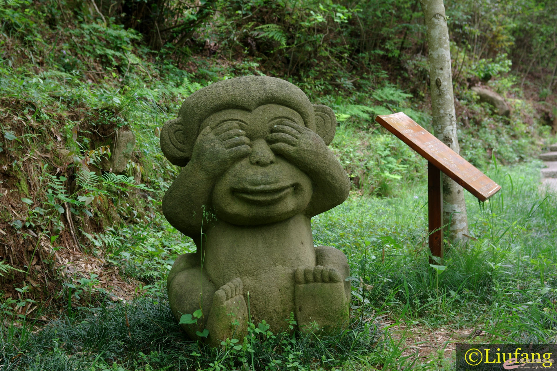 IMGP0754__.jpg