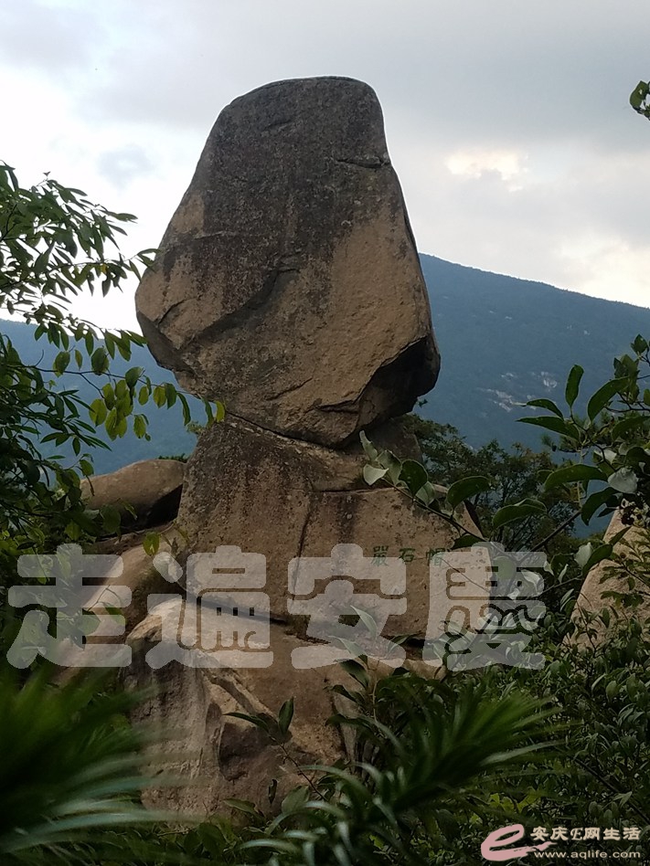 20190803_181046.jpg