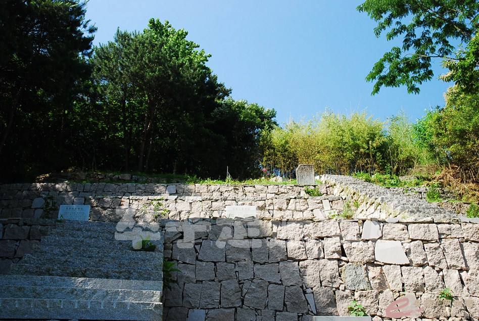 DSC_0532.jpg