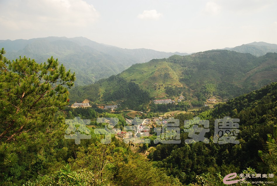 DSC_7955.jpg