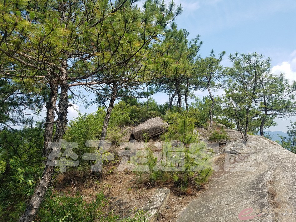 DSC_7962.jpg