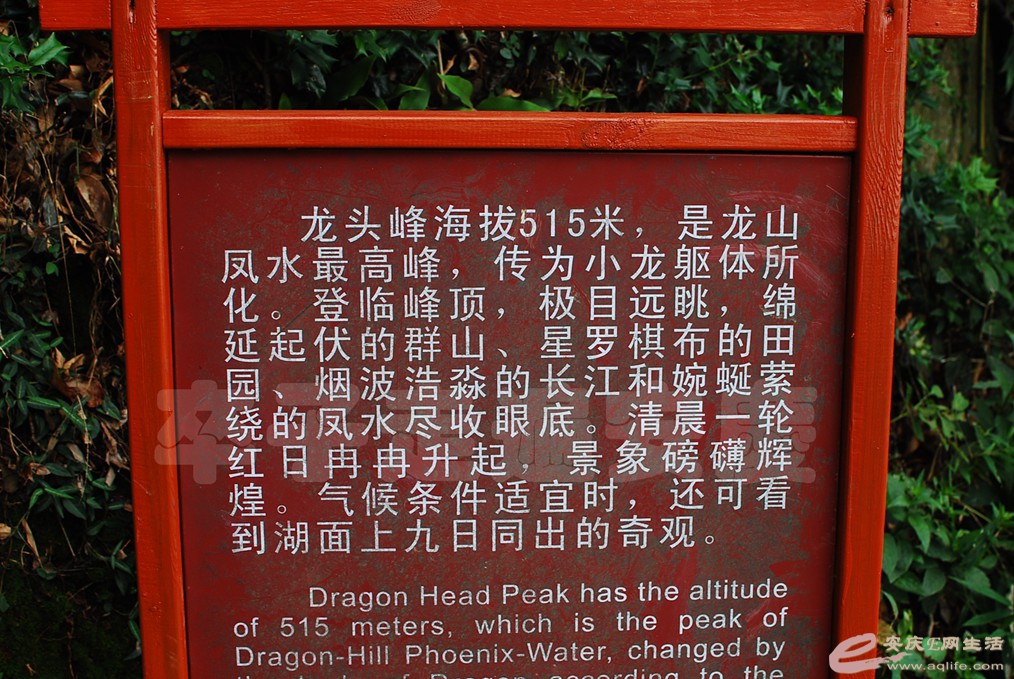 DSC_0132.jpg