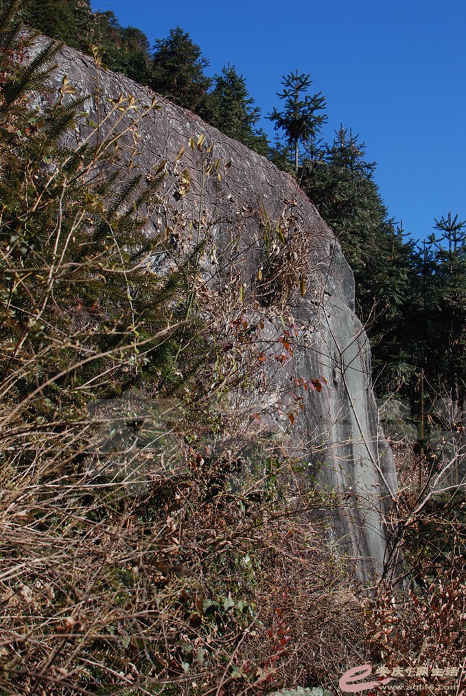 DSC_9309.jpg