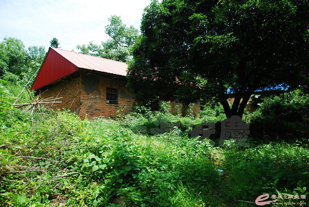 DSC_8540.jpg