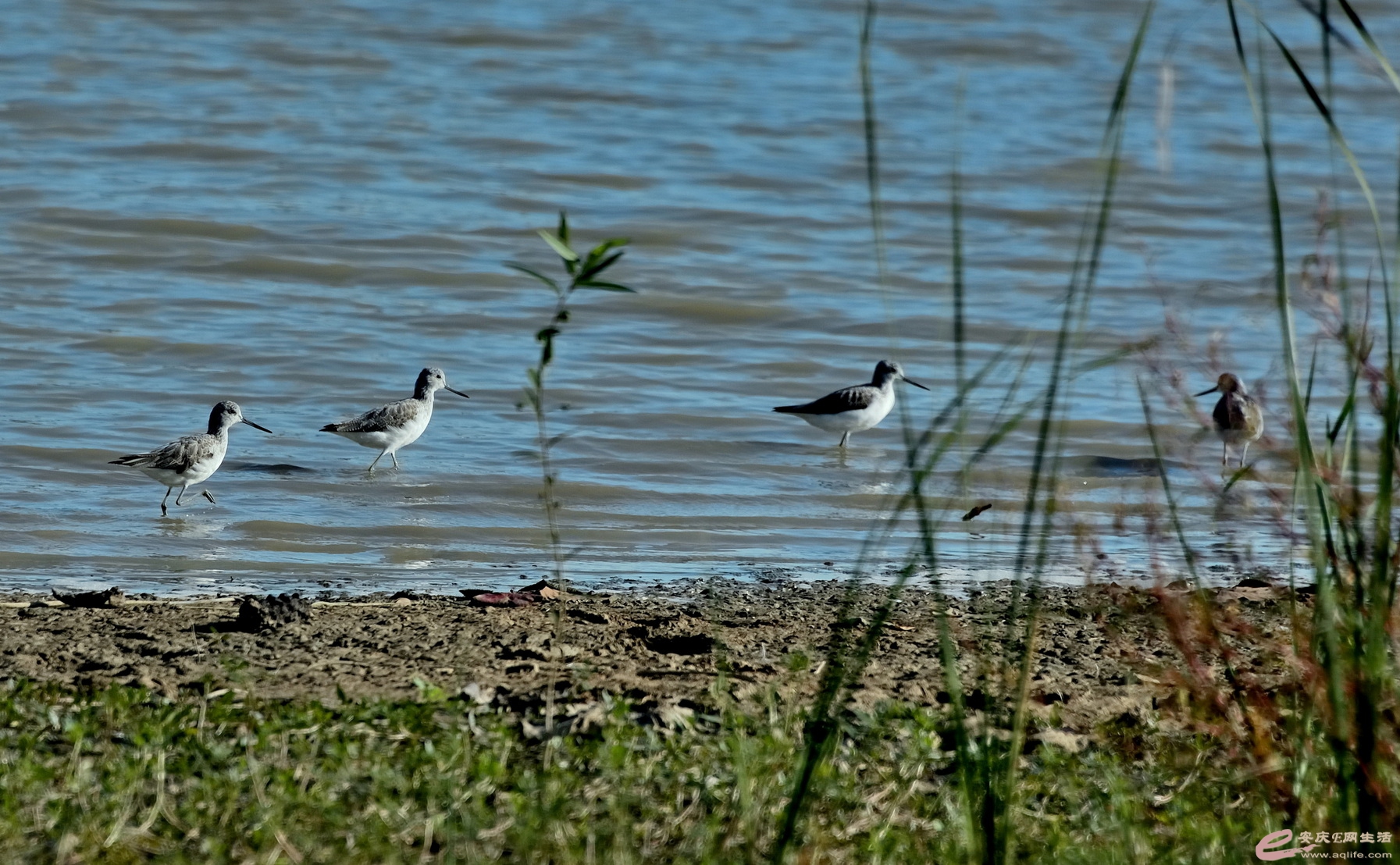 DSC_5461.JPG