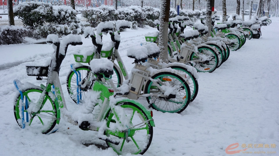 fy20220207R (14).JPG