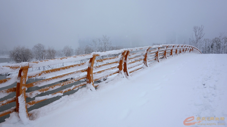 fy20220207R (16).JPG