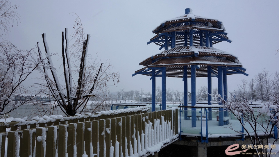 fy20220207R (17).JPG