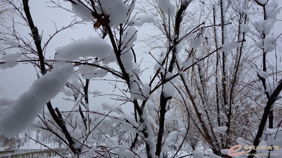 fy20220207R (18).JPG