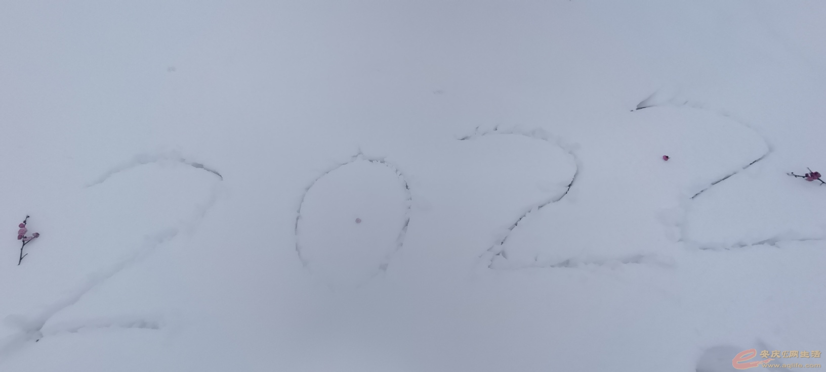 1644300229972130.jpeg