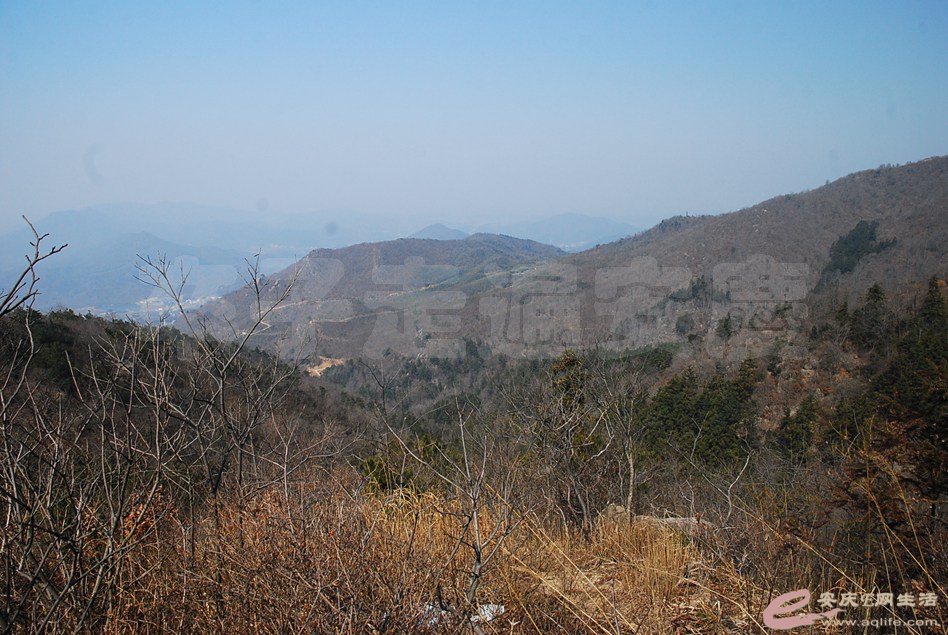 DSC_1718.jpg