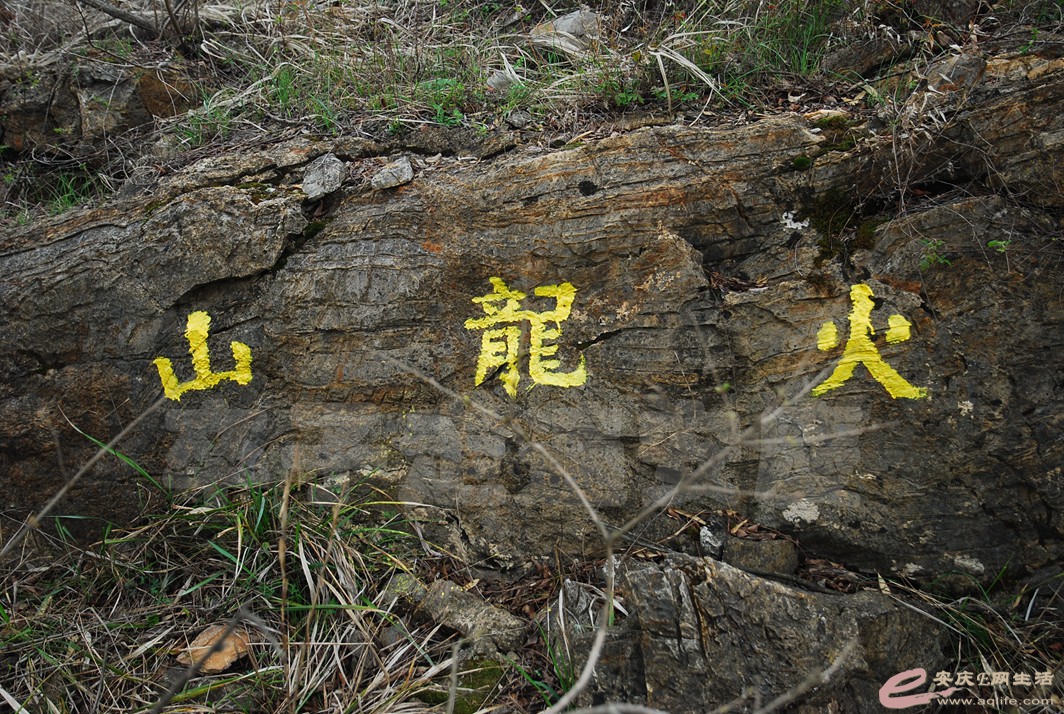 DSC_2551.jpg