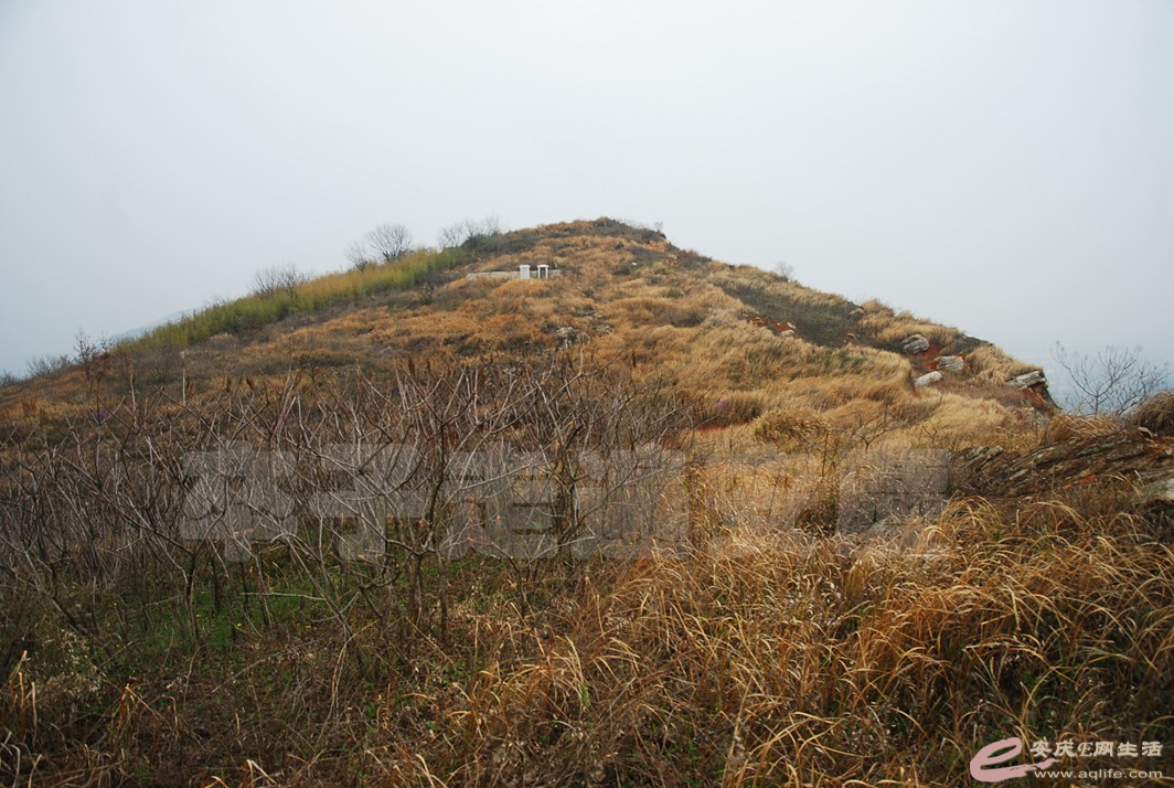 DSC_2554.jpg