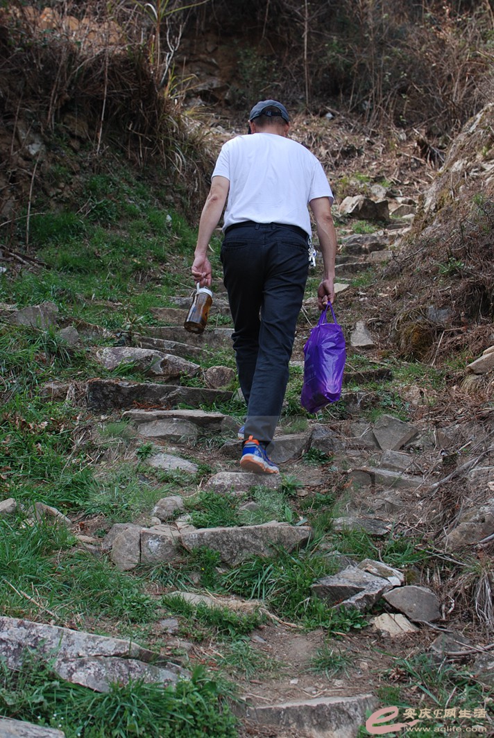 DSC_9945.jpg