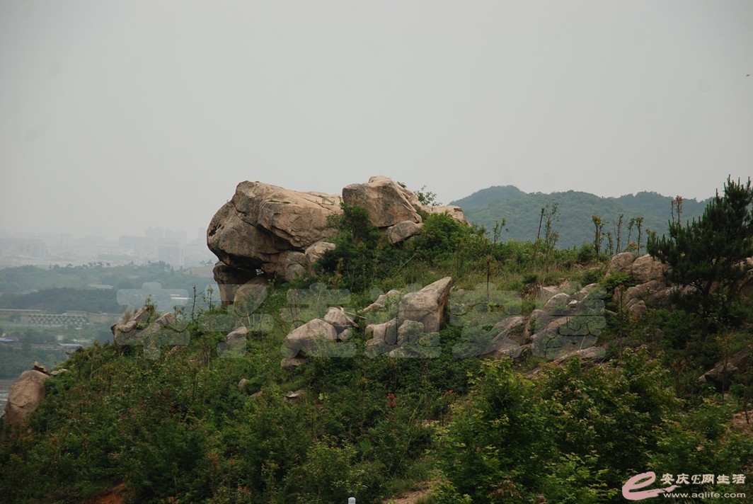 DSC_2667.jpg