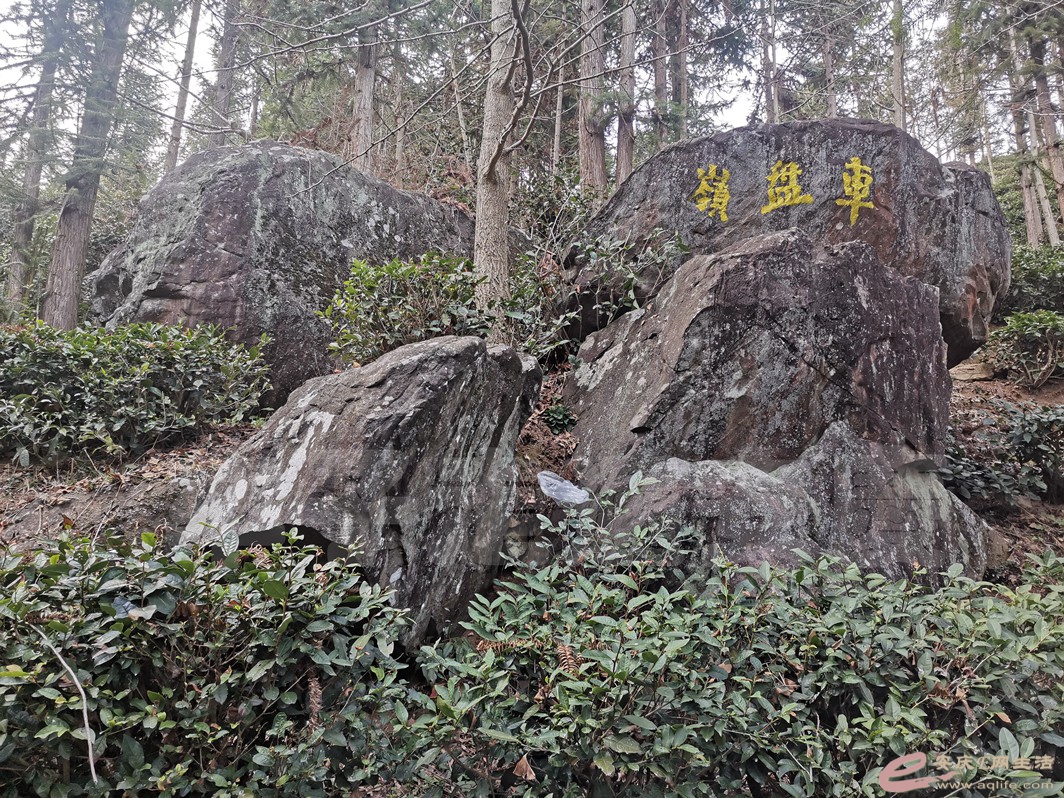 DSC_9944.jpg