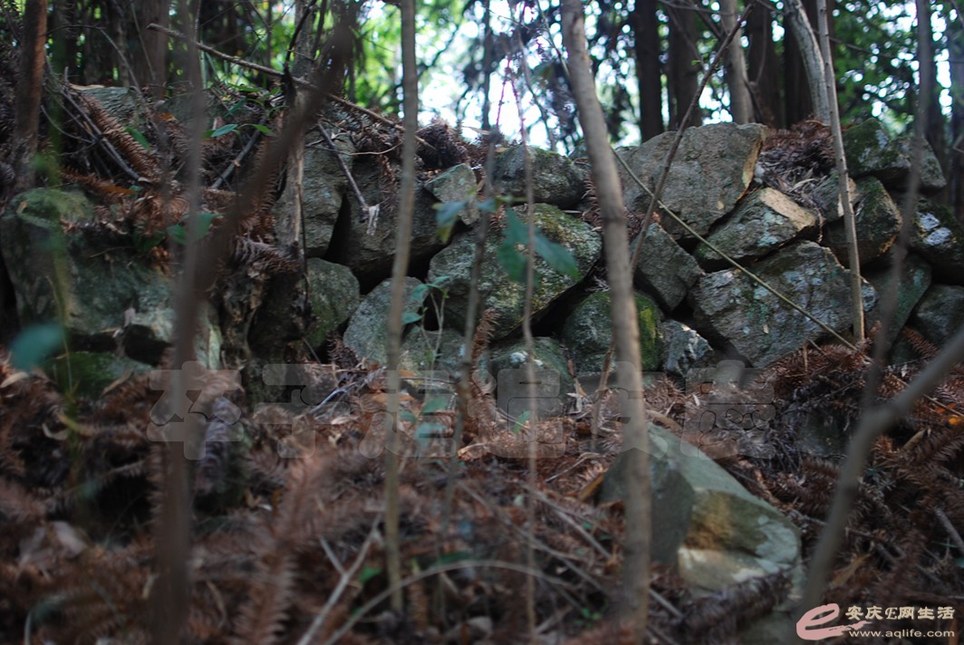 DSC_0070.jpg