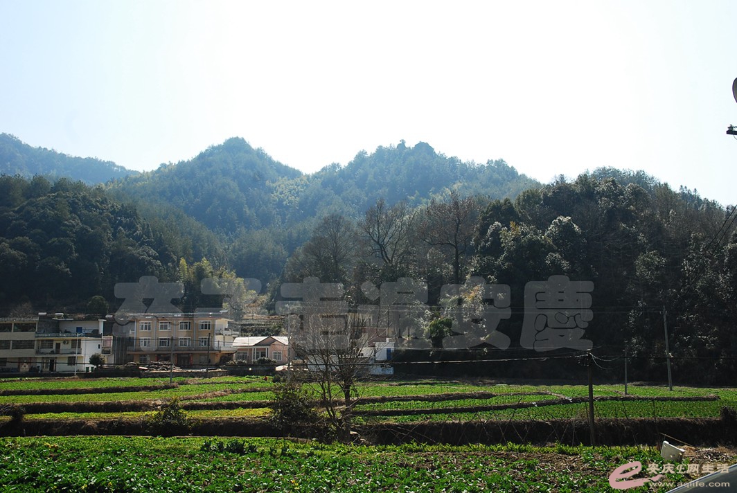 DSC_1404.jpg