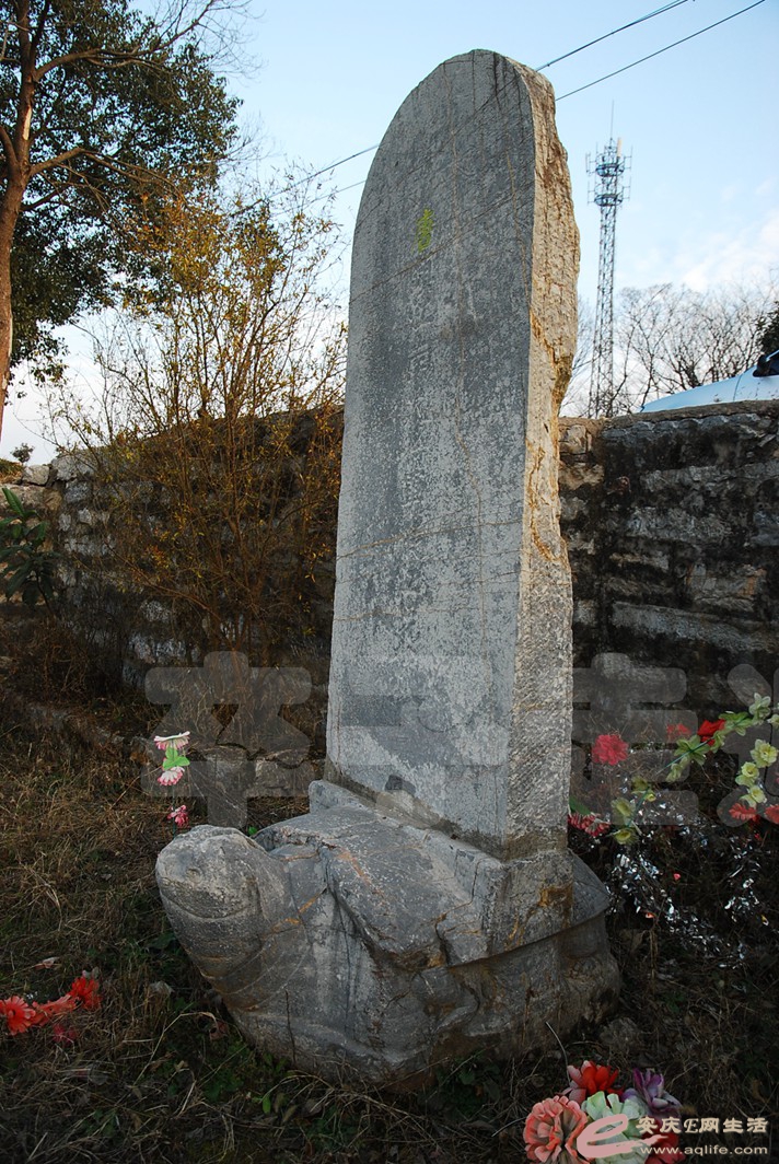 DSC_1387.jpg