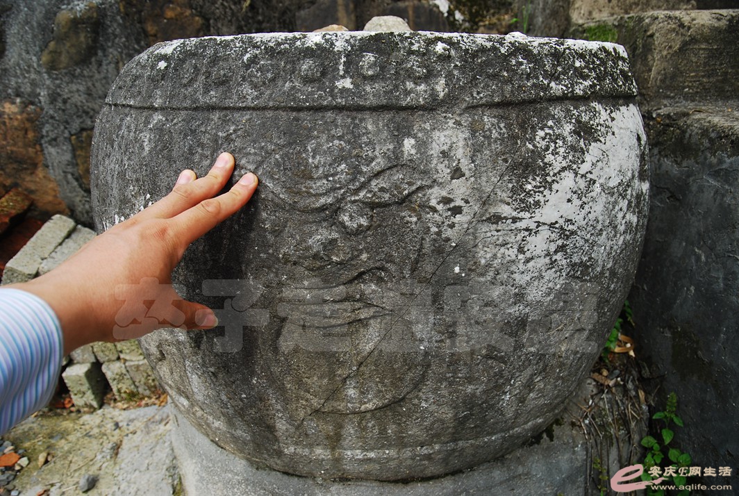 DSC_6862.jpg
