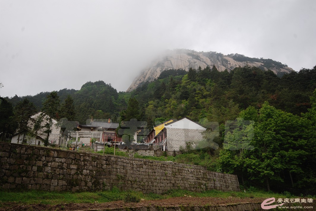 DSC_1999.jpg