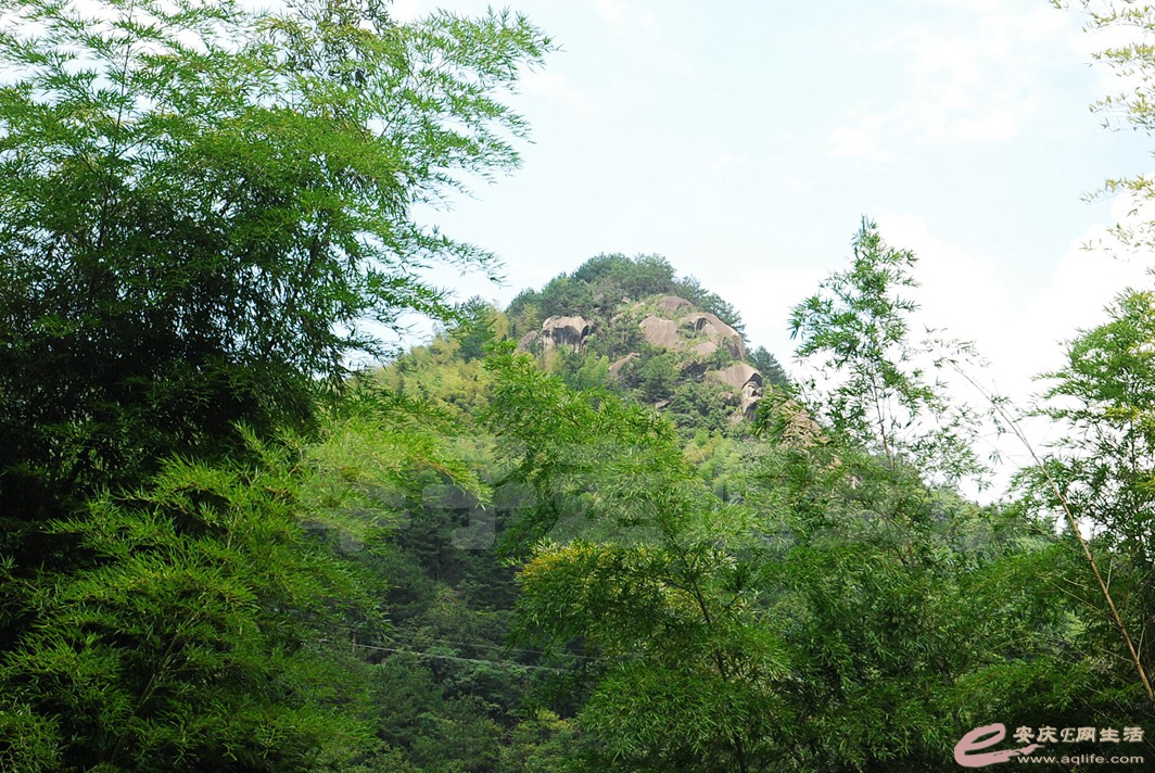 DSC_1964.jpg