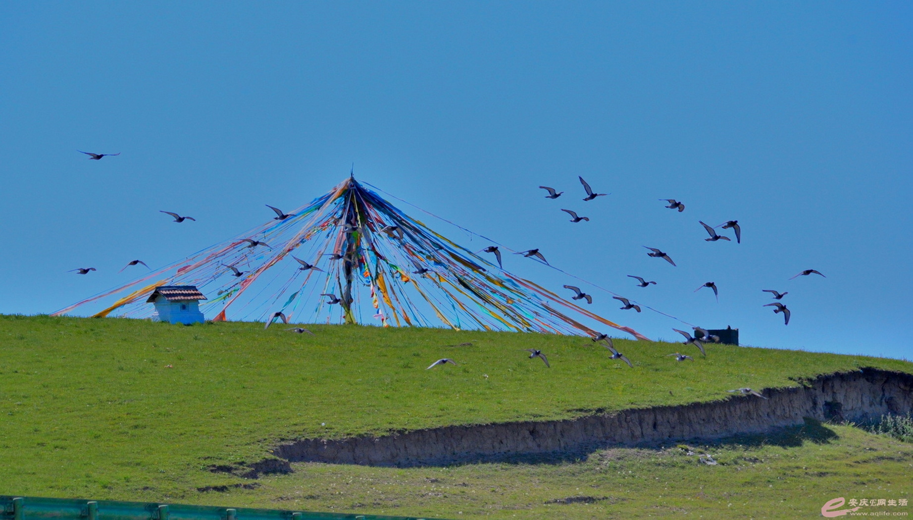 DSC_2076.JPG