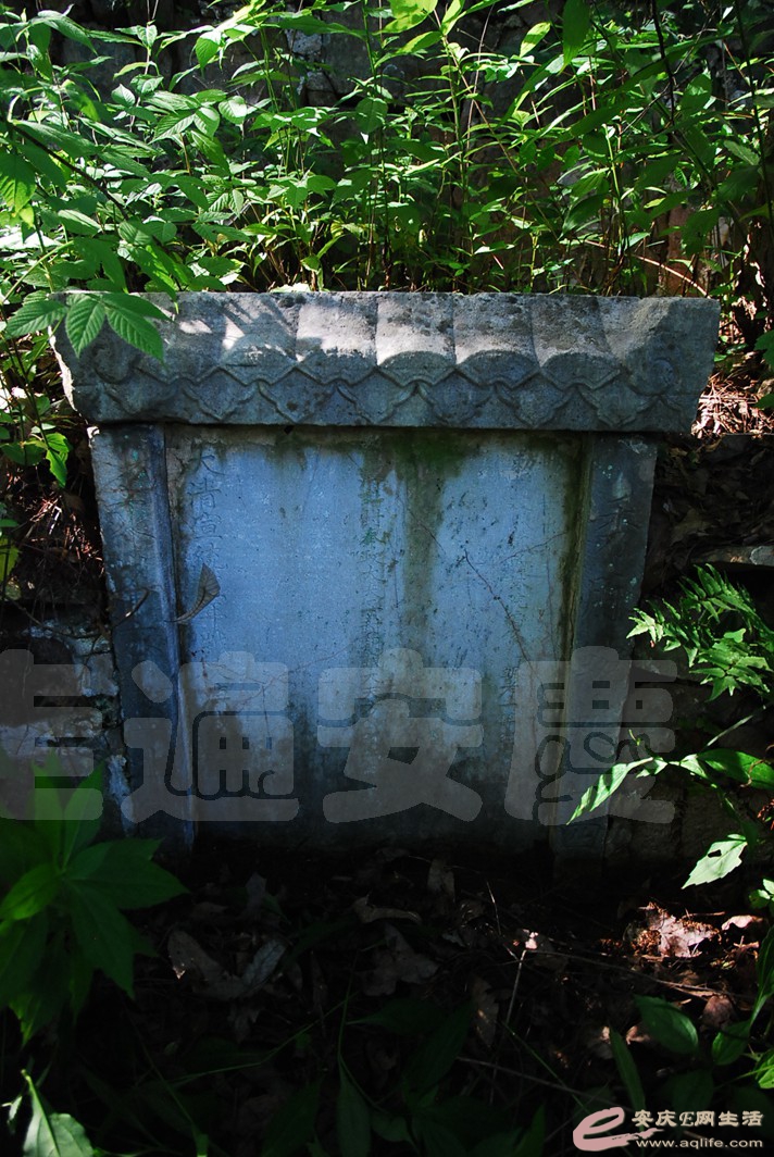 DSC_0631.jpg