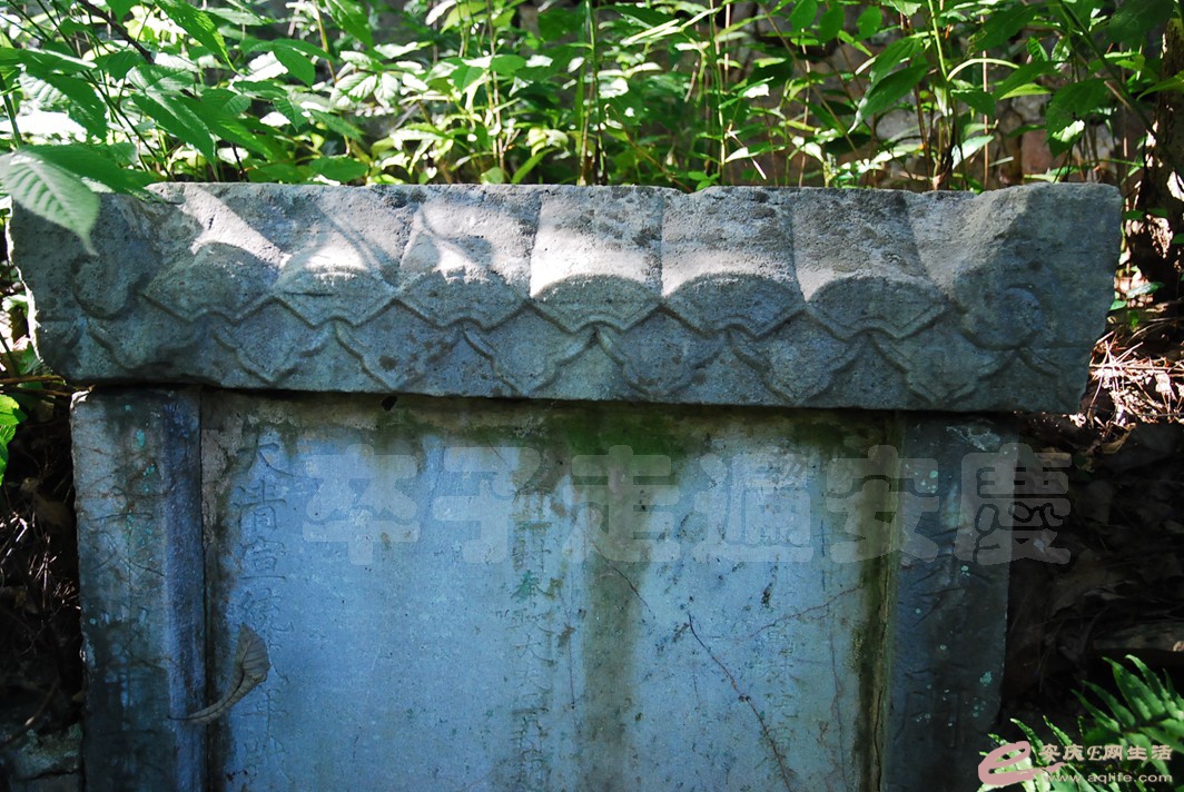 DSC_0633.jpg