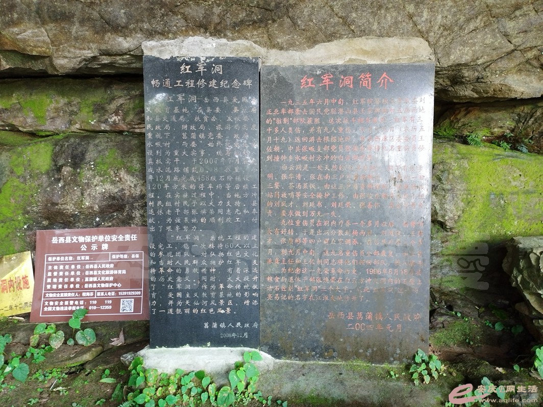 IMG_20220728_091855.jpg